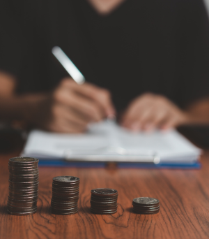 Dani Polido - Paginas (9)